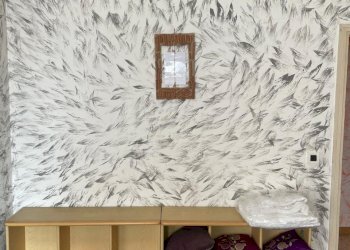 Terreno non edificabile Reggio nell'Emilia - foto 8