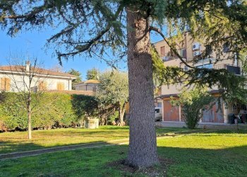 Villa Unifamiliare Malalbergo - foto 3