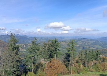 Casa Colonica Via delle Macchie 4, Castiglione dei Pepoli - foto 46