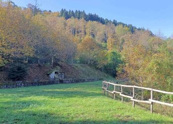 Casa Colonica Via delle Macchie 4, Castiglione dei Pepoli - foto 43