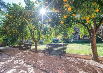 Villa Unifamiliare Via di Villa Pepoli, Roma (zona Aventino) - foto 29
