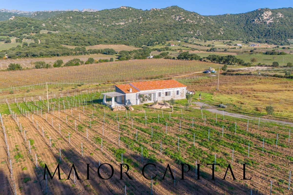 Rustico Berchidda, Berchidda - foto 1