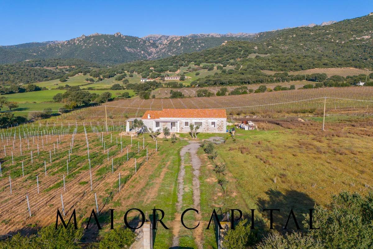 Rustico Berchidda, Berchidda - foto 2