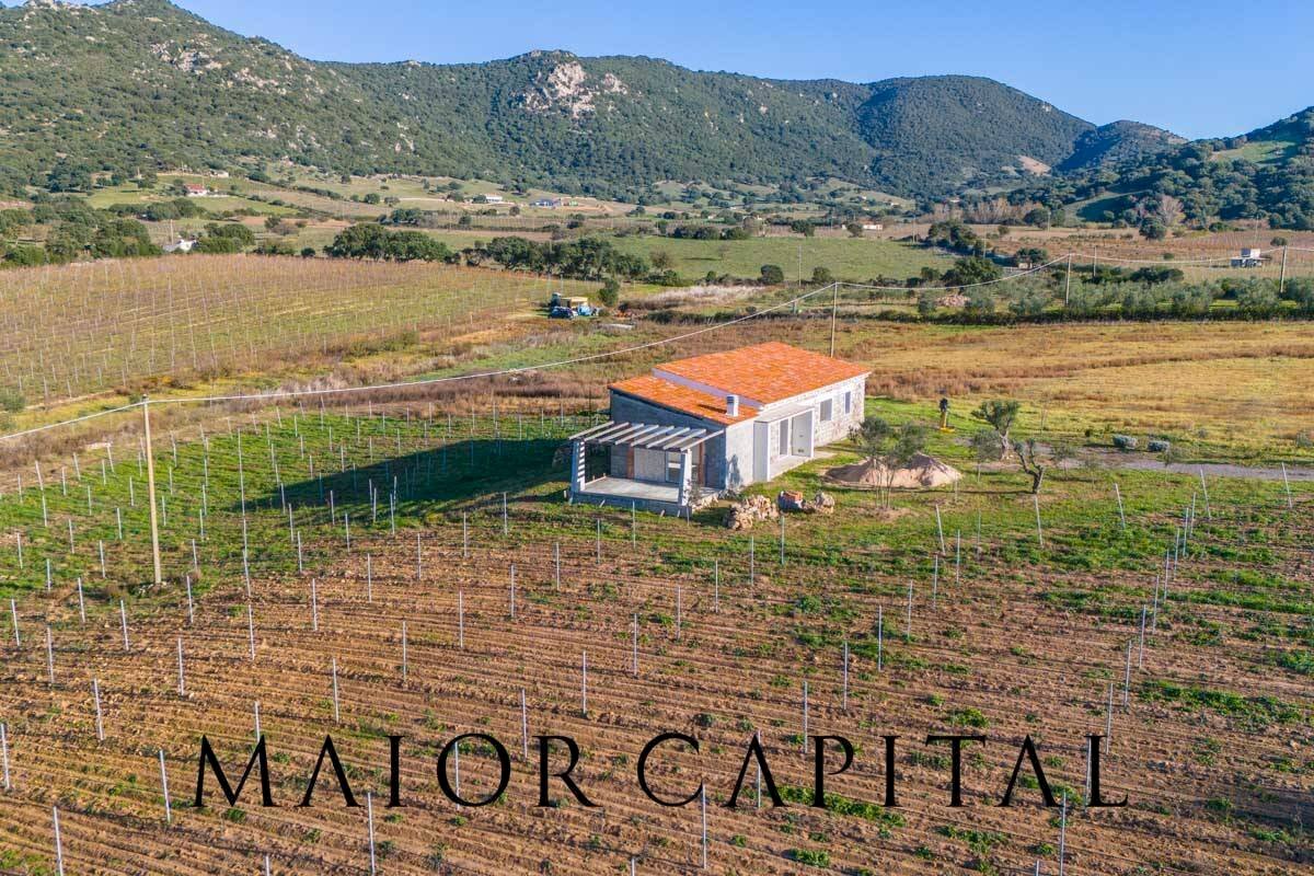 Rustico Berchidda, Berchidda - foto 3