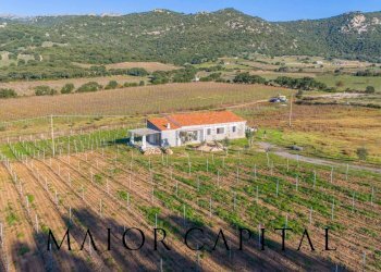 Rustico Berchidda, Berchidda - foto 1