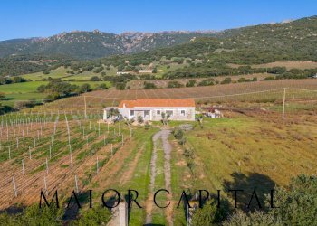 Rustico Berchidda, Berchidda - foto 2