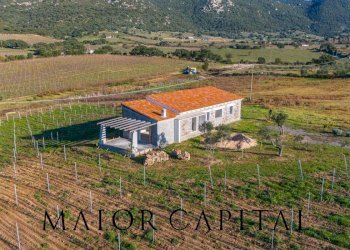 Rustico Berchidda, Berchidda - foto 4