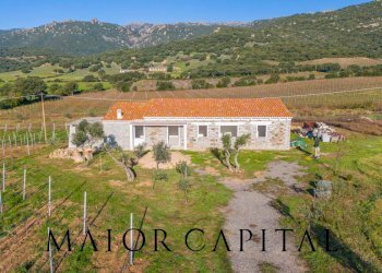 Rustico Berchidda, Berchidda - foto 5