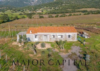 Rustico Berchidda, Berchidda - foto 6