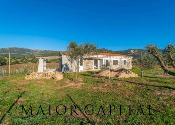 Rustico Berchidda, Berchidda - foto 24