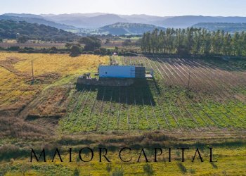 Rustico Berchidda, Berchidda - foto 26