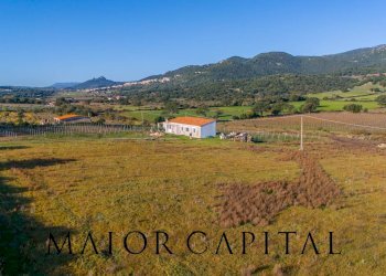 Rustico Berchidda, Berchidda - foto 29