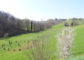 Farmhouse Mondovì - photo 34