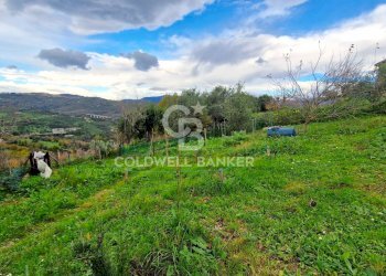 Casa indipendente via del campo sportivo, Rutino - foto 10