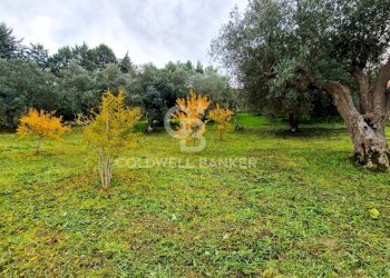 Casa indipendente via del campo sportivo, Rutino - foto 16