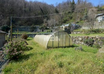 Terreno - Casa indipendente via Rondine, 5, Lessolo - foto 3