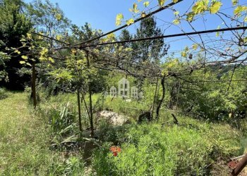 Esterno - Casa indipendente Località Benasso, 98, Castellamonte - foto 25