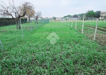 Casa semi indipendente Via Delle Cascine, Rimini - foto 2