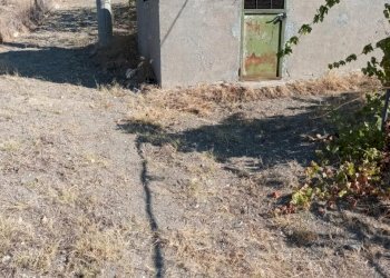 Terreno agricolo Riace - foto 7