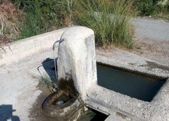 Terreno agricolo Riace - foto 8