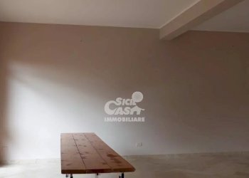 Negozio Petrosino - foto 11