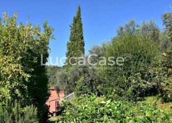 Casale Massarosa - foto 27