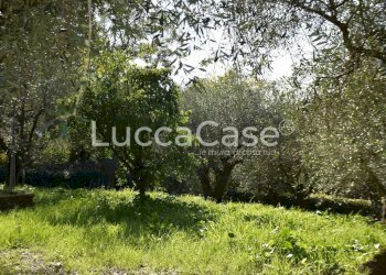Casale Massarosa - foto 65