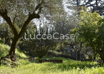 Casale Massarosa - foto 66