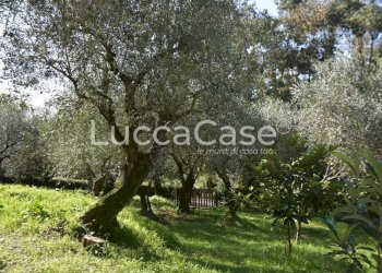 Casale Massarosa - foto 67
