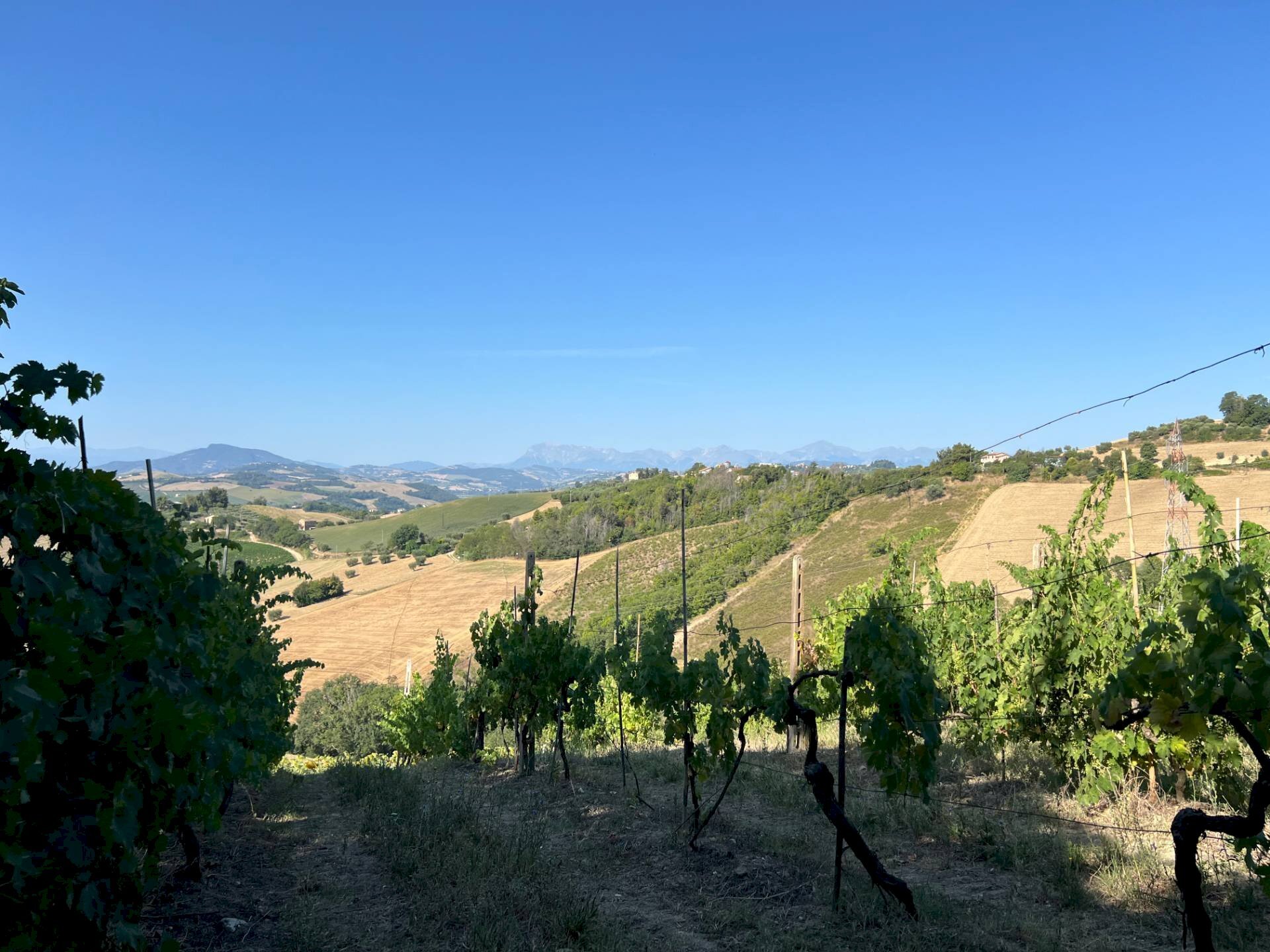 Casa indipendente Contrada san savino, Petritoli - foto 3