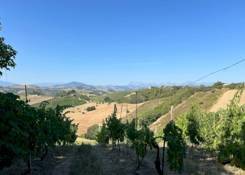 Casa indipendente Contrada san savino, Petritoli - foto 16