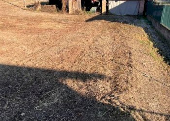 Terreno edificabile Magliano Alfieri - foto 2