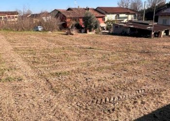 Terreno edificabile Magliano Alfieri - foto 6