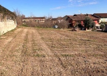 Terreno edificabile Magliano Alfieri - foto 7