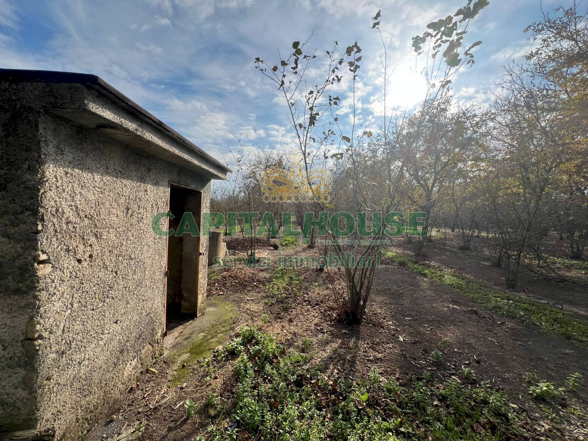 Terreno agricolo Scisciano - foto 1