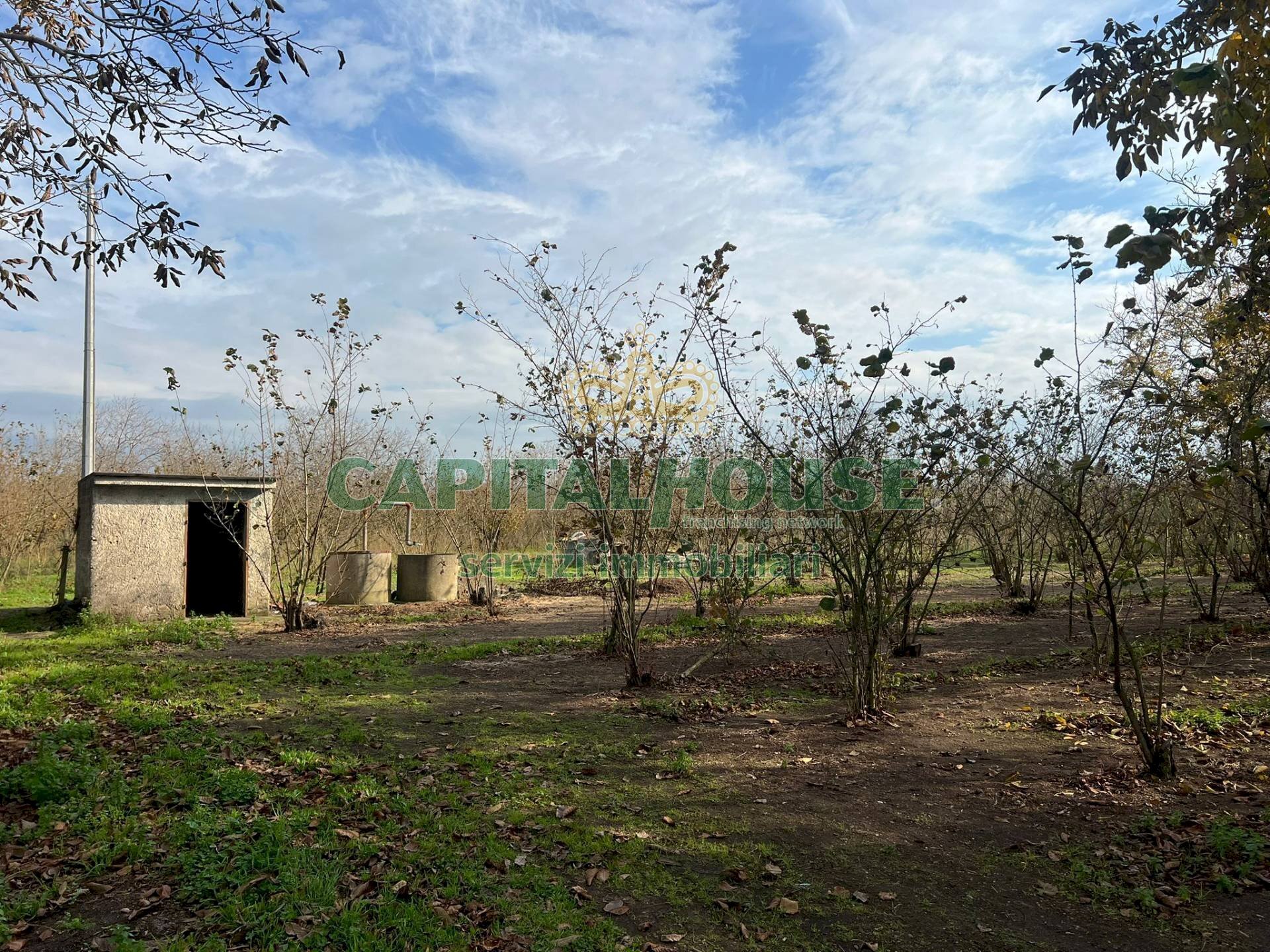 Terreno agricolo Scisciano - foto 3