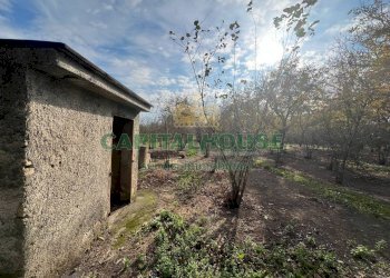 Terreno agricolo Scisciano - foto 1