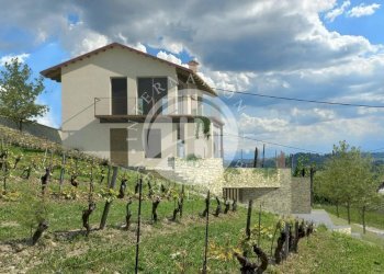 Terreno edificabile Monforte d'Alba - foto 8