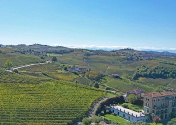 Vista - Villa Neive - foto 36