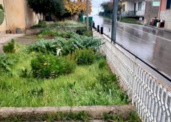 Giardino - Independent house via Roma, Calvi - photo 10