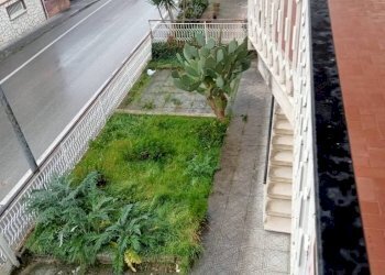 Giardino - Independent house via Roma, Calvi - photo 15