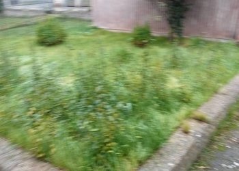 Giardino - Independent house via Roma, Calvi - photo 27