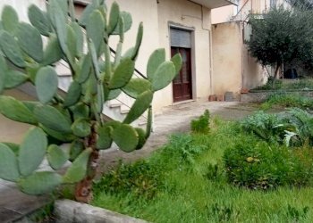 Giardino - Independent house via Roma, Calvi - photo 32