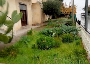 Giardino - Independent house via Roma, Calvi - photo 34