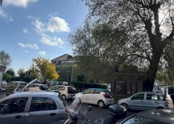 Zona - Bar - Tabacchi - Ricevitoria largo Rodolfo Lanciani, Roma - foto 13