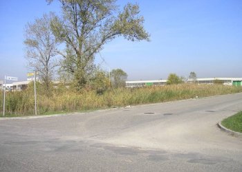 Zona - Terreno edificabile via alessandro volta, Medicina - foto 12