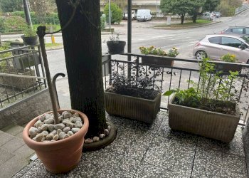 Veranda - Negozio via Dalmazia, 5, Laveno-Mombello - foto 17