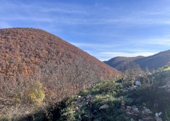 Rustico Preci - foto 18