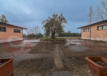 Casa indipendente Via Capodacqua, Castrocielo - foto 7