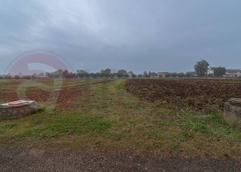 Casa indipendente Via Capodacqua, Castrocielo - foto 10